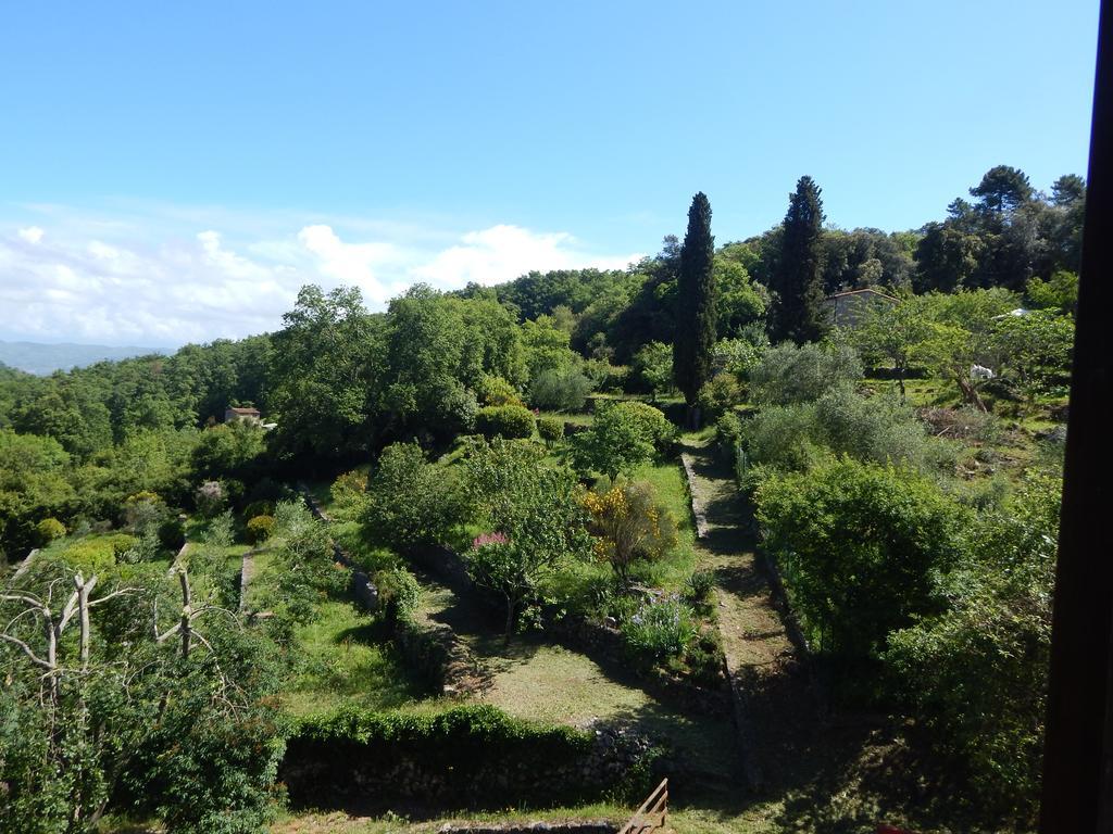 I Lecci Bed and Breakfast Lerici Εξωτερικό φωτογραφία