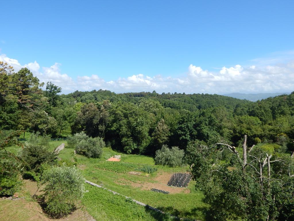 I Lecci Bed and Breakfast Lerici Εξωτερικό φωτογραφία